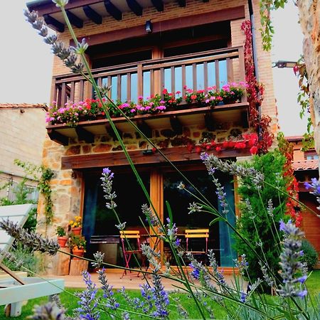 La Galiana loft nature Casarejos Exterior foto